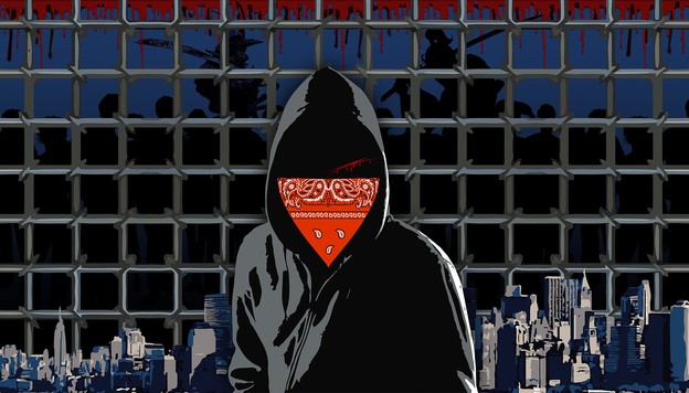 3 godine zatvora tinejdžeru hakeru