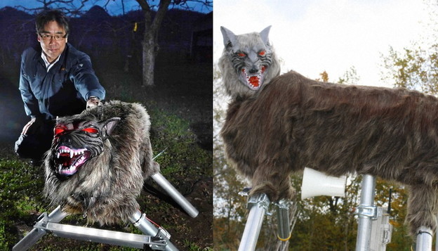 VIDEO: Monster Wolf robot tjera medvjede