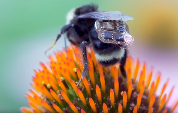 VIDEO: Bumbari s IoT ruksacima pomažu farmerima