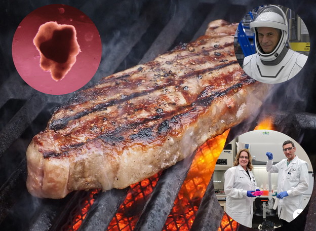 Svemirski turisti testiraju steak od matičnih stanica
