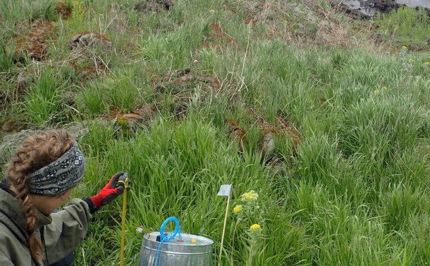 U permafrostu otkriven novi izvor stakleničkog plina N2O