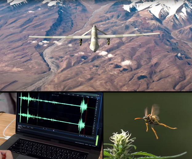 VIDEO: Detekcija bespilotnih letjelica mozgom insekta
