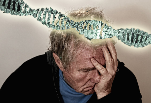 Otkrivena genetika starenja zahvaljujući rijetkoj bolesti